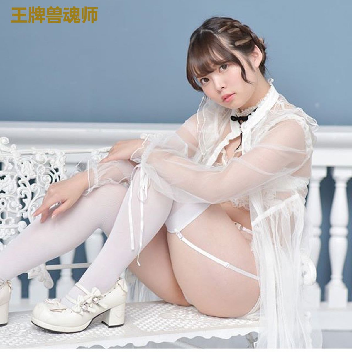 王牌兽魂师