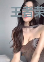 王者荣耀之影子