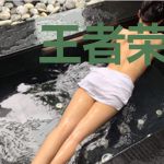王者荣耀之纵横天下
