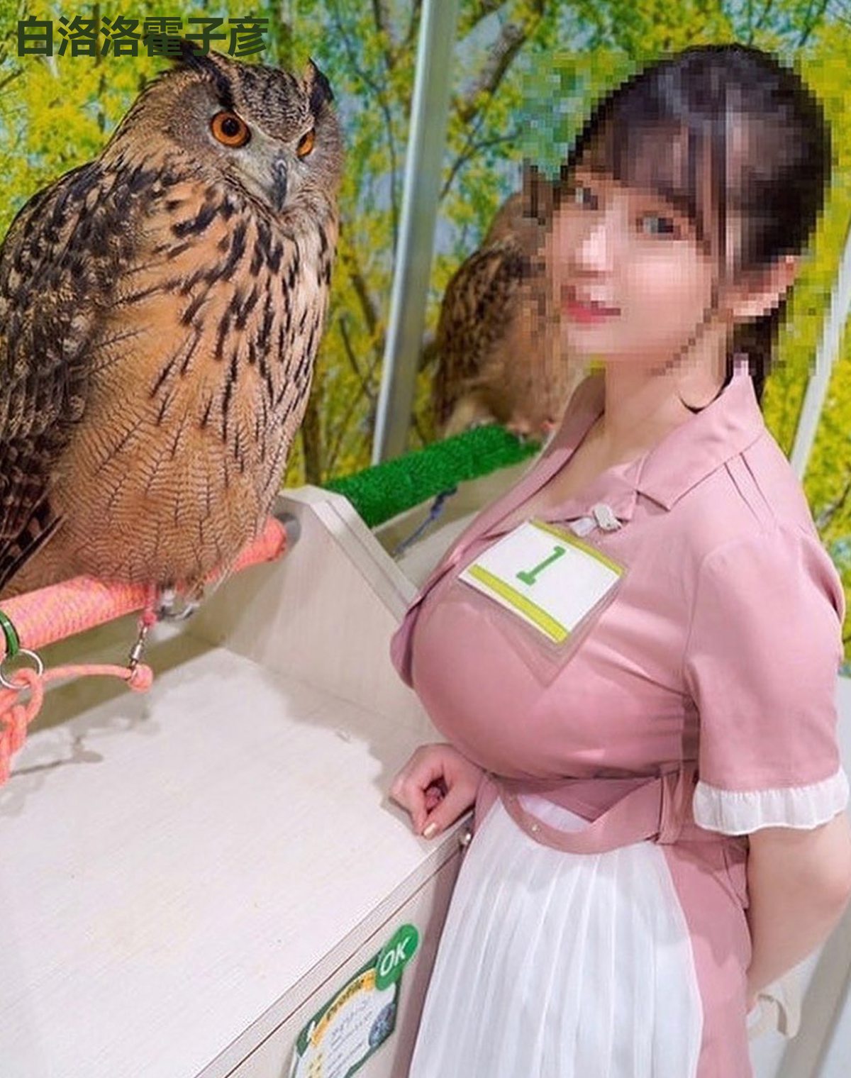 白洛洛霍子彦