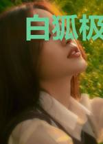 白狐极夜谭