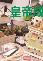 皇帝成长计划
