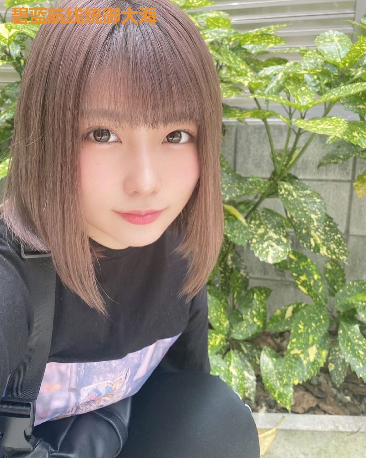 碧蓝航线统御大海