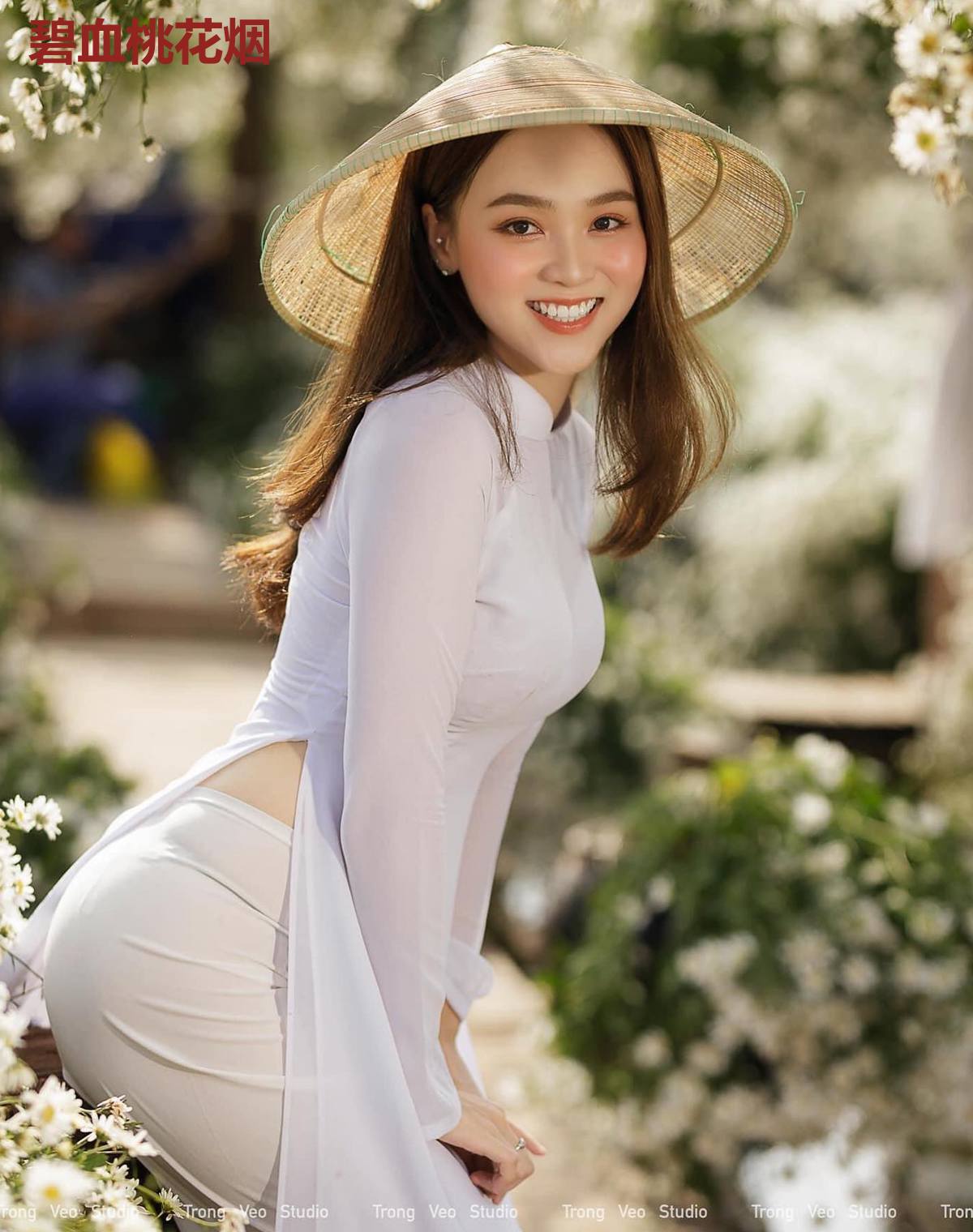 碧血桃花烟