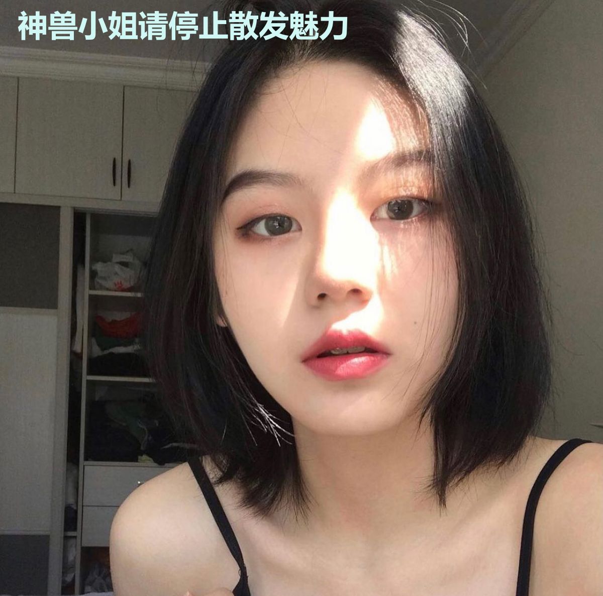神兽小姐请停止散发魅力
