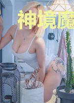 神境魔武录