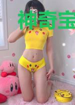神奇宝贝叶阳传