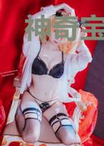 神奇宝贝:华丽大赛之巅峰对决