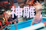 神雕,开局谋划九阳真经