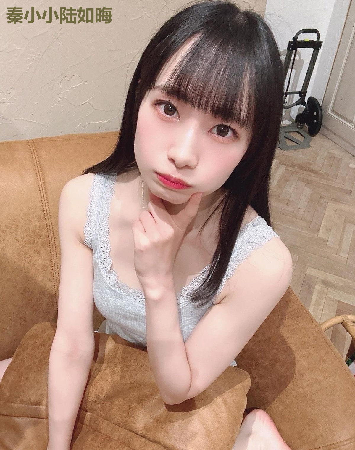 秦小小陆如晦
