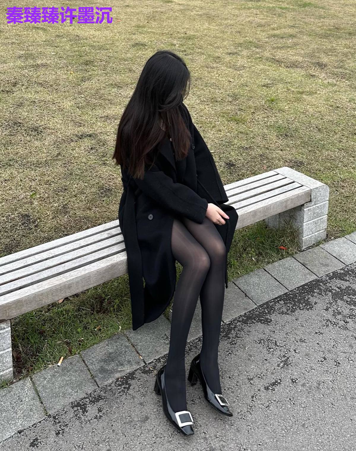秦臻臻许墨沉