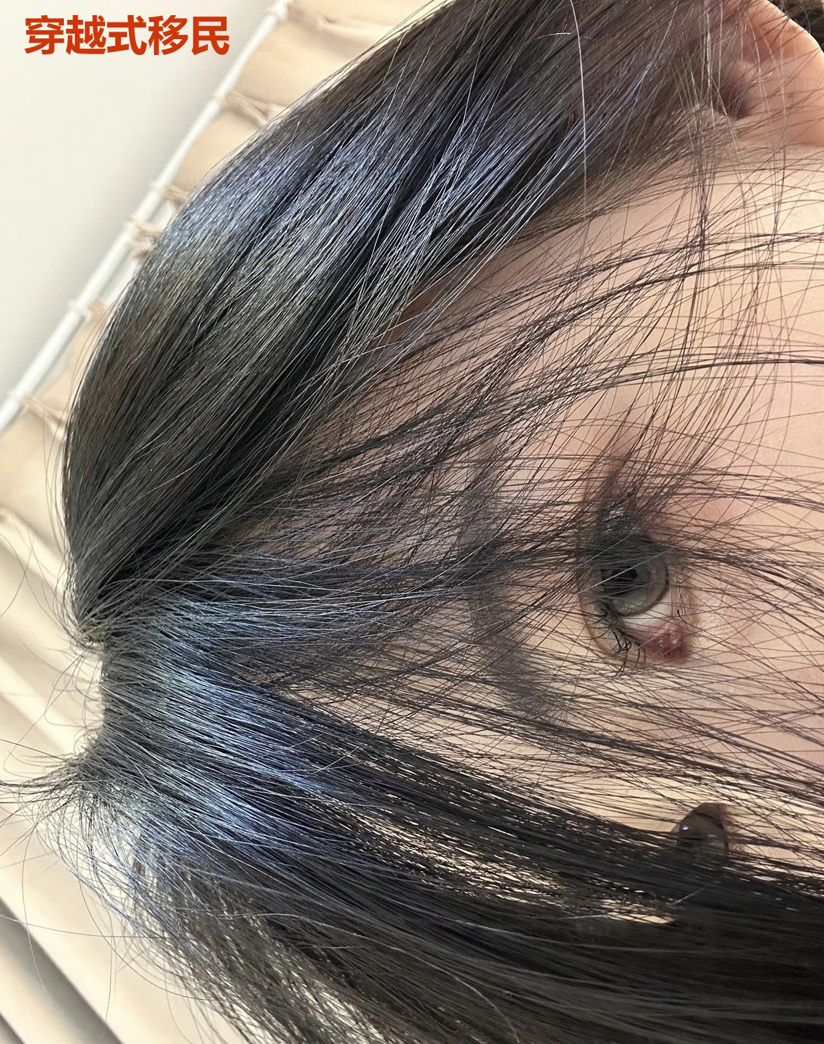 穿越式移民
