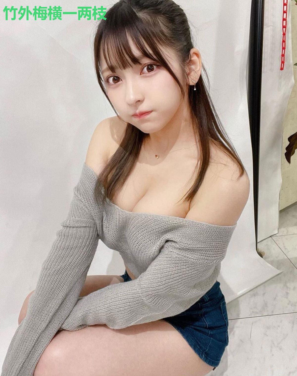 竹外梅横一两枝