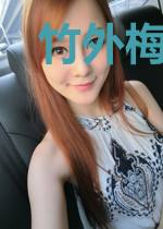 竹外梅横一两枝