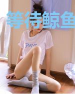 等待鲸鱼的归来