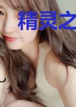 精灵之崛起归途