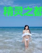 精灵之都市崛起