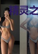 精灵之闪光掌门