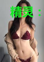 精灵:从紫苑镇开始的训练家