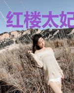 红楼太妃要躺平