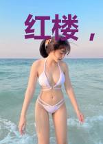 红楼,我成了贾琏?还好有系统!