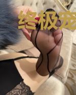 终极宠物店