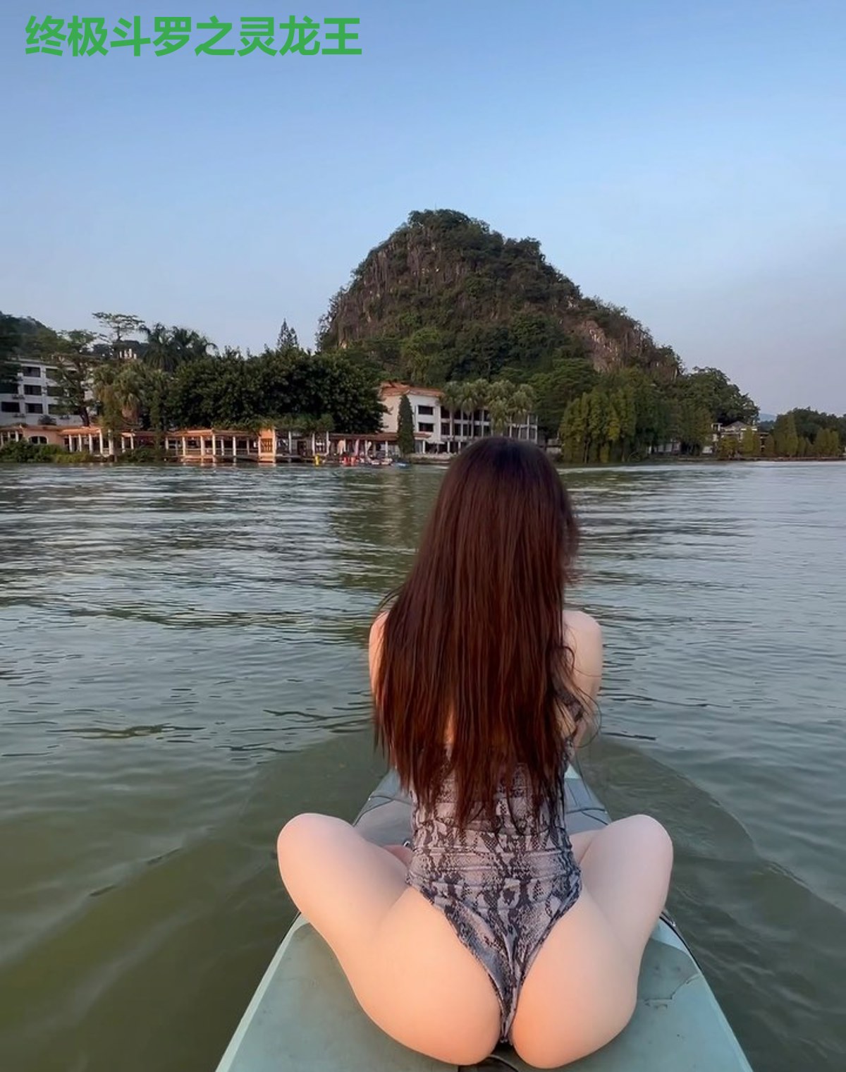 终极斗罗之灵龙王