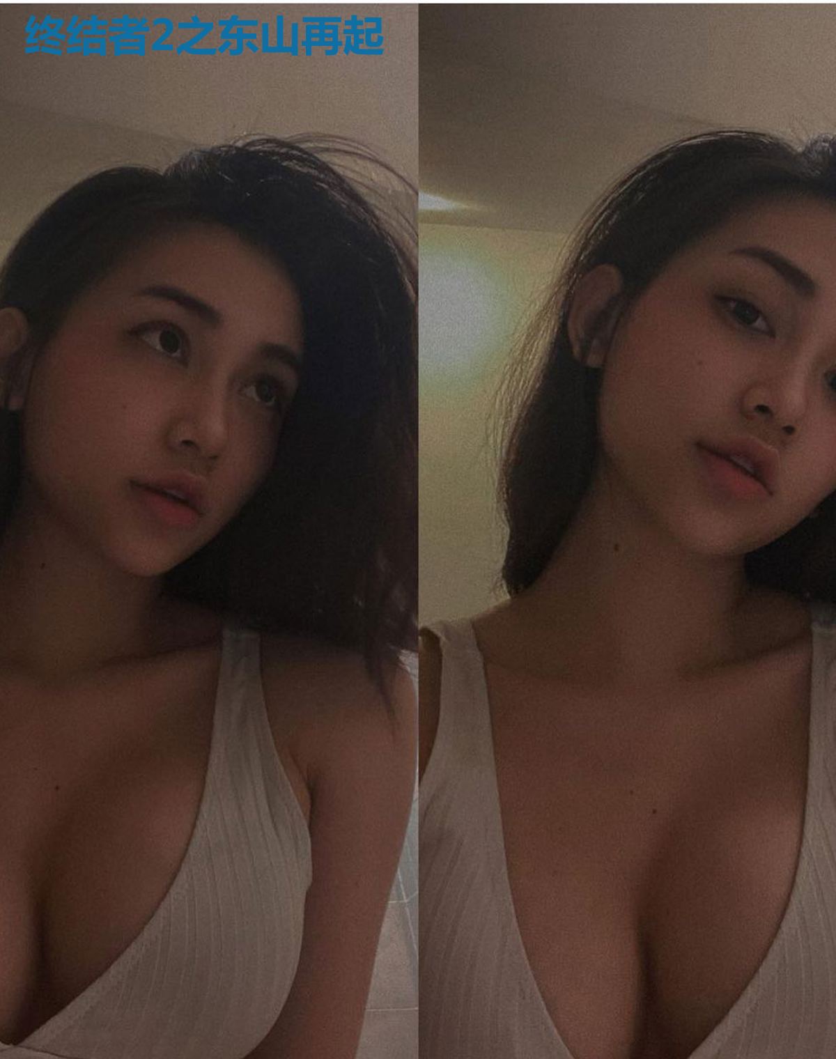 终结者2之东山再起