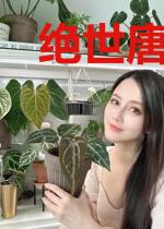 绝世唐门之亚人传说