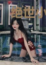 绝世小神医