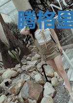 腾格里的记忆