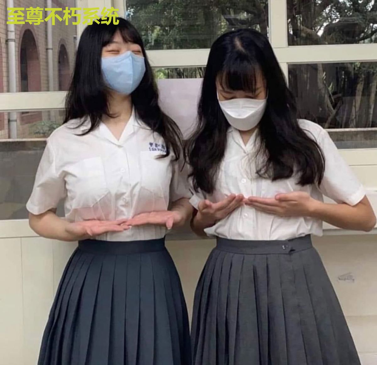 至尊不朽系统