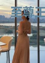 至尊王婿沈君颜