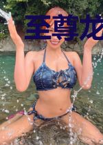 至尊龙婿莫凡萧嫣然