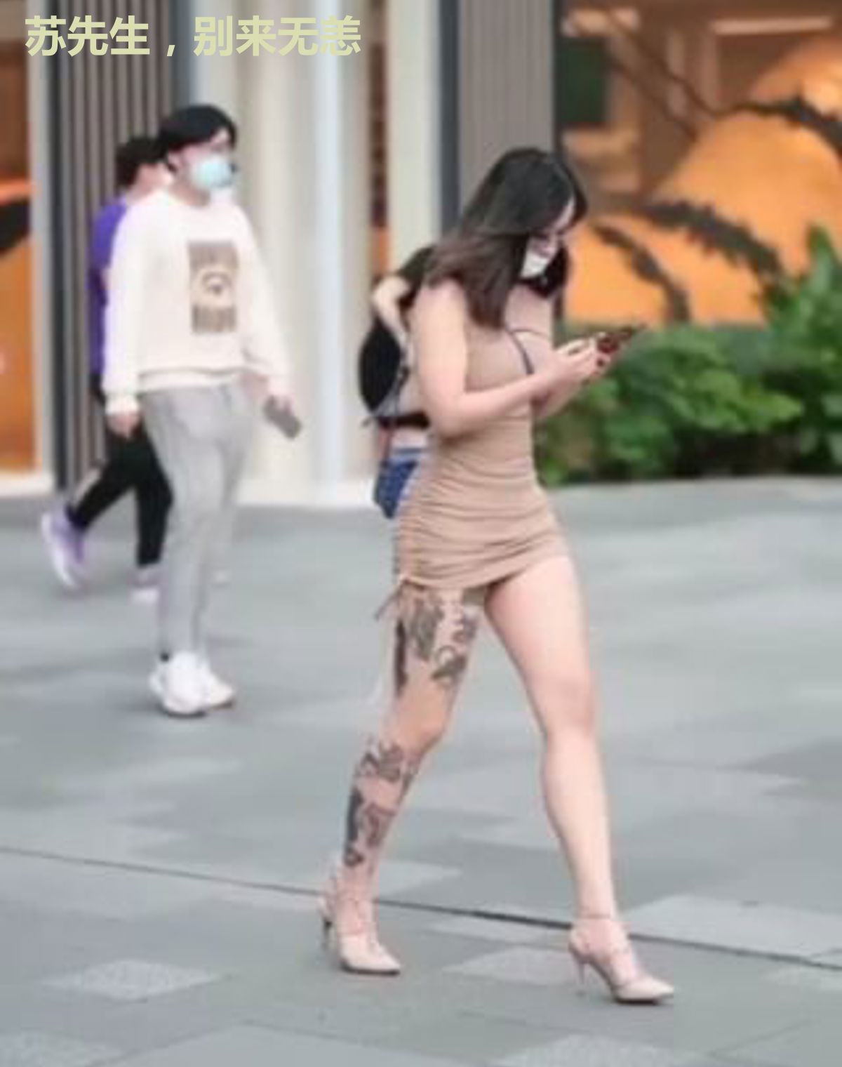 苏先生,别来无恙