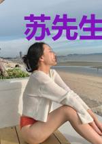 苏先生,别来无恙