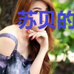 苏贝的骗局