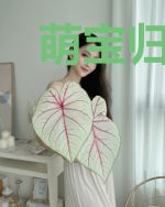 萌宝归来:爹地在哪里夜井辰