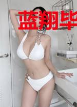 蓝翔毕业,我在古代修长城