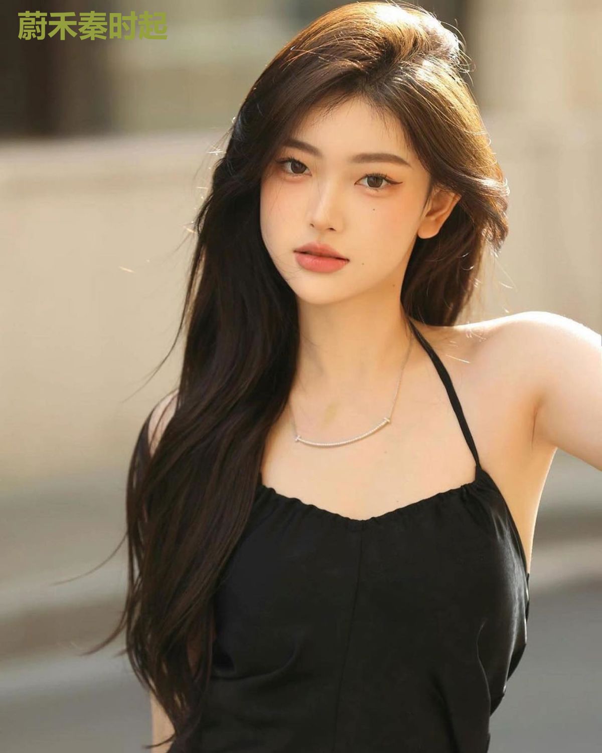 蔚禾秦时起