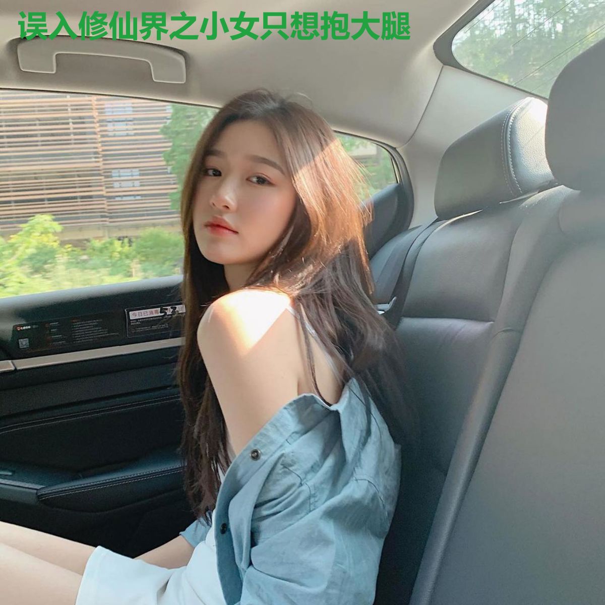 误入修仙界之小女只想抱大腿