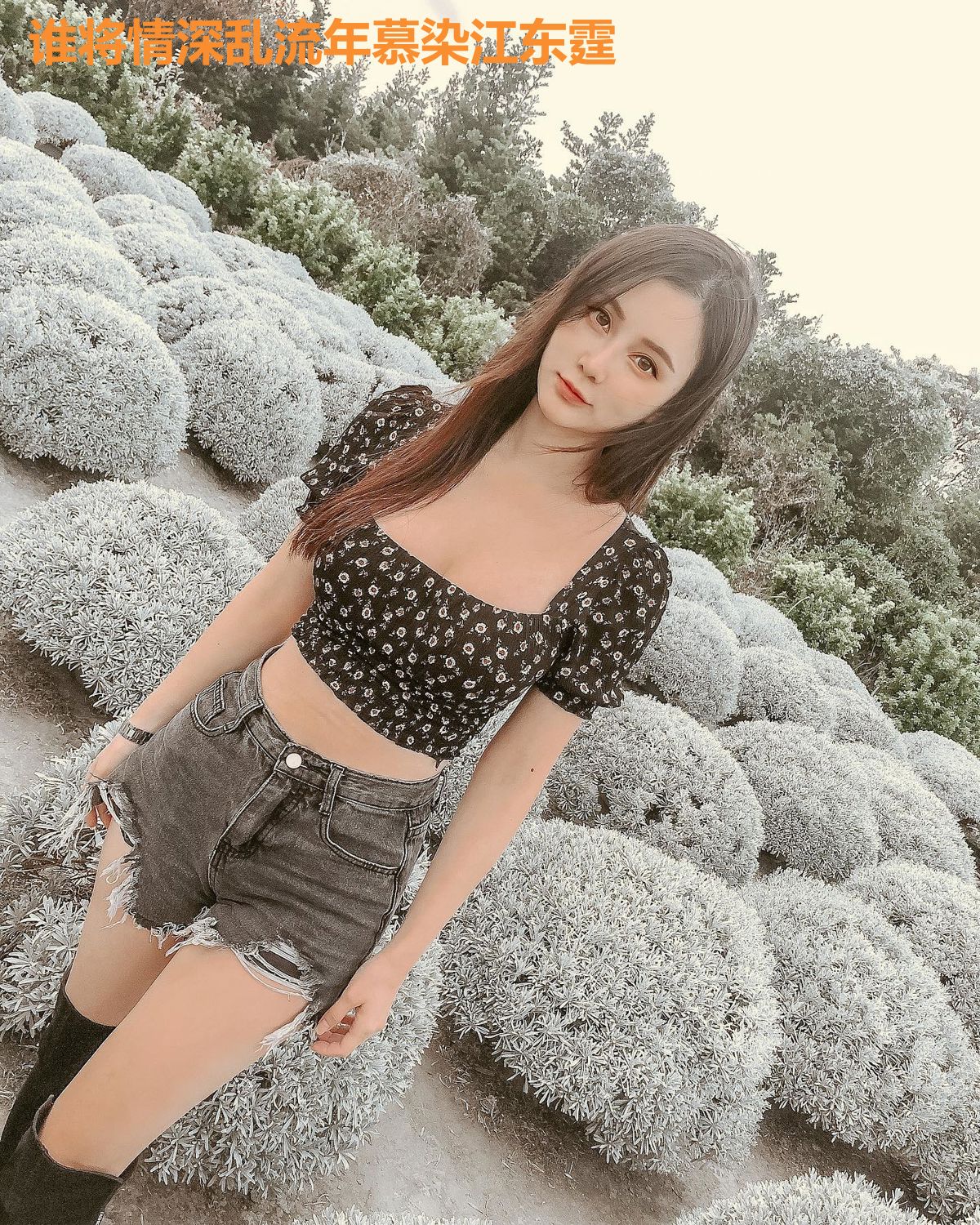 谁将情深乱流年慕染江东霆