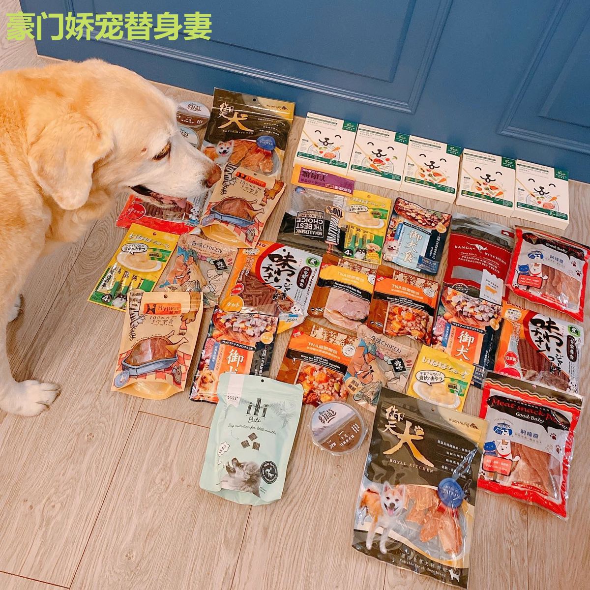 豪门娇宠替身妻