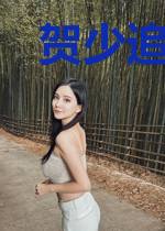 贺少追妻路漫漫