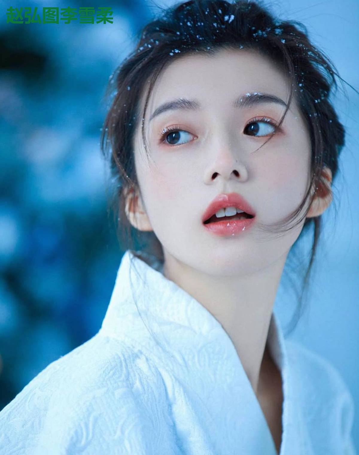 赵弘图李雪柔