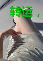 转运,从养猫开始