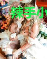 辣手小毒妃