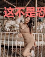 这不是恐怖小说