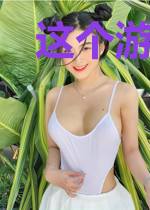 这个游戏叫疆域
