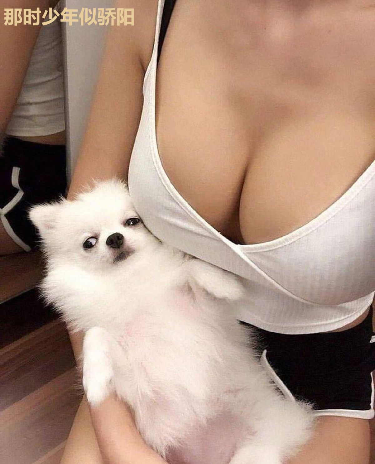 那时少年似骄阳